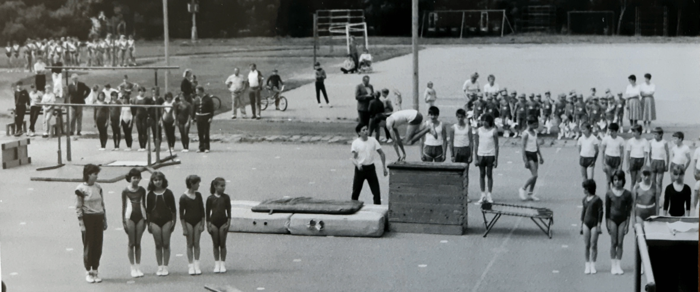 Historie sokol hisrotie2 edit